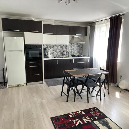 Tourist Apartment 1 Piatra Neamt Bagian luar foto